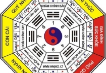 Chọn Hướng Khi Xây Nhà: Mối Quan Tâm Quan Trọng Trong Thiết Kế Nhà Cửa