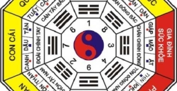 Chọn Hướng Khi Xây Nhà: Mối Quan Tâm Quan Trọng Trong Thiết Kế Nhà Cửa